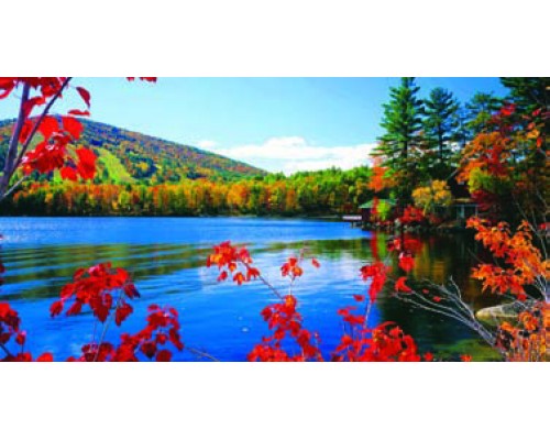 Desk Calendar DC39